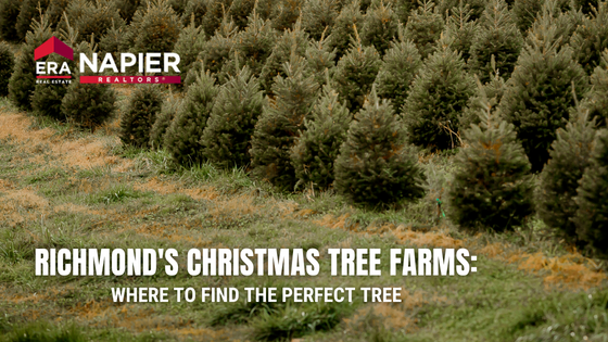 Richmond Christmas Trees